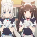 /kittycafe