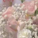 Bloomy Petals