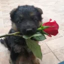 Сервер Венлока! :D