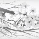 ❀⋆.˚ 　 the pale garden