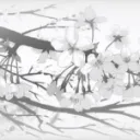 ❀⋆.˚ 　 the pale garden