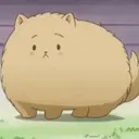 Yume kaisen