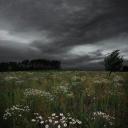 @ ~ Rainy Day Search