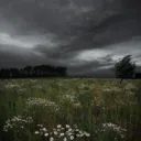 @ ~ Rainy Day Search