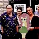 pony court