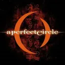 A Perfect Circle