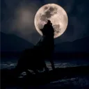 .gg/pack | wolf pack | PACKING