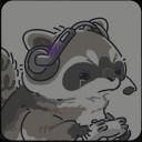 Raccoon Land