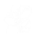 Blooming