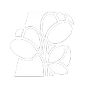 Blooming