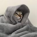 Cat Hub