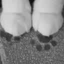 ᯓ           paw print 🐾
