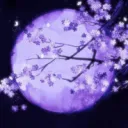 Moonlit lounge