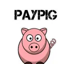 THE  PIG PAY's server