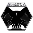 Black Birds Squadron