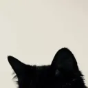 /prismv
