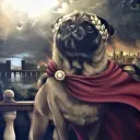 Pugs Alliance