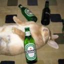 bunnytique