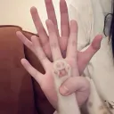 ⊹ ࣪ ˖ｐａｗｓｉｚｅｄ⊹ ࣪ ˖