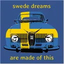 The Swedish Automotive