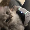 ^w^