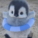 Penguinhood server icon