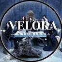 ꊞ﹒ ➸﹒ 𝓥elora 𝓢tudios