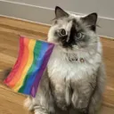 lgbtq --- paradise love 14+
