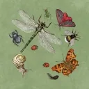 metamorphosis