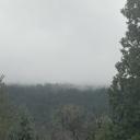 Pine Valley 18+