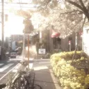 City of Teyvat ໒꒱