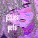 𑣲pixie's 𝓹𝓮𝓽𝓼 ୨ৎ  ⸝⸝ discord icon