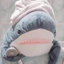 sharkquarium