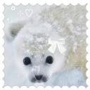 ༄♥Seal~Cove༄♥