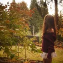 ꒰ 🍂 ꒱ 𝑎𝑢𝑡𝑢𝑚𝑛 𝑠𝑘𝑖𝑒𝑠 Icon