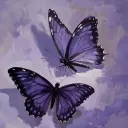 Metamorphosis
