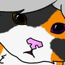 Caattcord
