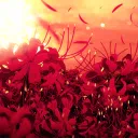 BNHA: Aizere
