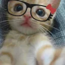 CATLAND