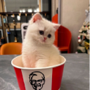 𝙲ozy 𝙲̷𝚘̷rner server icon