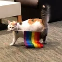 smol server