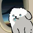 I Need Someone