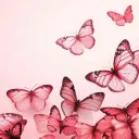 Butterflies serverꨄ