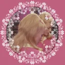 ୭ ₊⊹ 🎂˚. ρrᥱttყ ιᥒ fιᥣm ₊‧⊹ ˎˊ˗