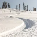 Pinehollow Resort