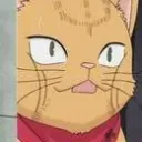/Kats/ Kateria