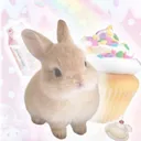 bun݁ ˖Ი𐑼⋆⋆.ೃ࿔*:･ 18+.emotes.egirls.lfg