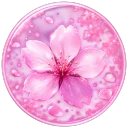 🌸 Aura // Girls Only 🌸's icon