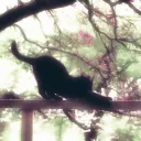 ໒꒰ྀི´ 𝘿𝙧𝙚𝙖𝙢 𝙒𝙚𝙖𝙫𝙚𝙧𝙨 ` ꒱ྀིა