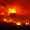 『 WILDFIRE』|| The Fire Rises NRP (2020)